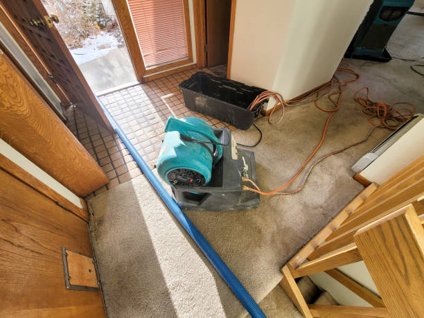 Best Water damage contractors near me  in Holdenville, OK
