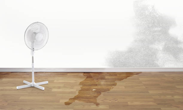 Best Carpet water damage restoration  in Holdenville, OK