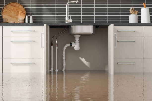 Best Water damage restoration near me  in Holdenville, OK