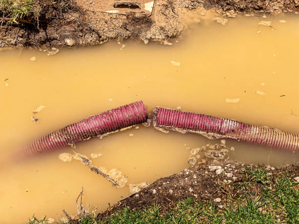 Best Commercial water damage restoration  in Holdenville, OK